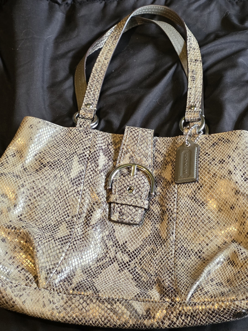 Coach Metallic Snake-Embossed Leather Tote - Champagne
